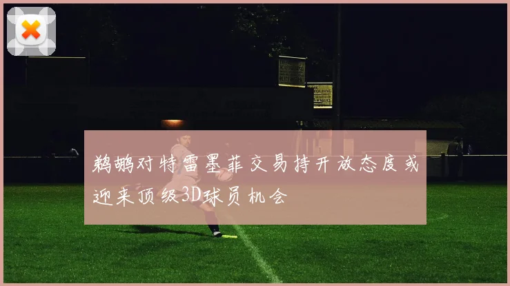 鹈鹕对特雷墨菲交易持开放态度或迎来顶级3D球员机会